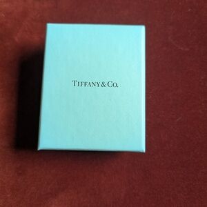 Tiffany & Co. Turquoise Gift Box